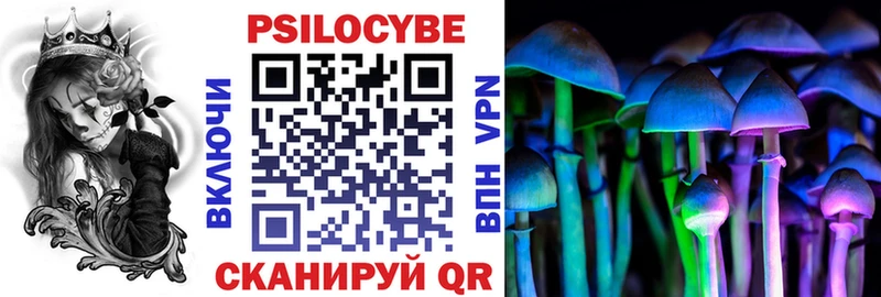 Купить где  Урень  Галлюциногенные грибы мицелий 